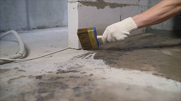 SJ Waterproofing Pros Waterproofing coverage map for Holly Pond, AL and surrounding area